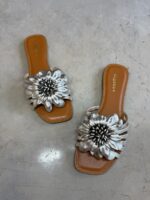 RASTEIRA IVETE PRATA